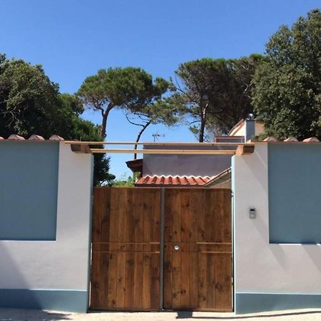 Viareggina Con Giardino Apartment Marina Di Pisa Bagian luar foto