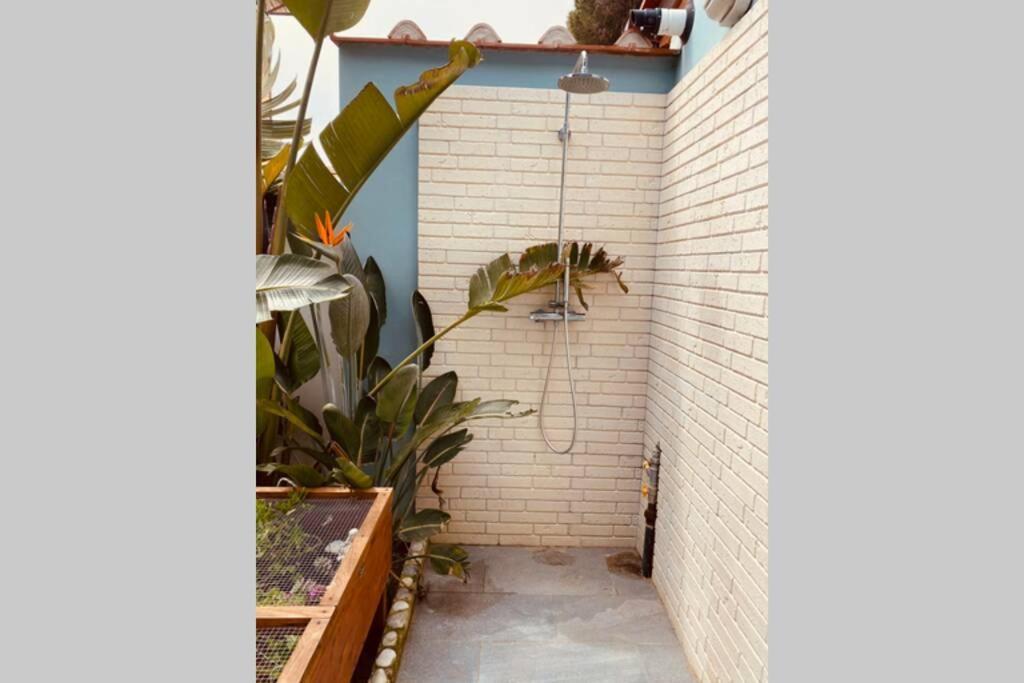 Viareggina Con Giardino Apartment Marina Di Pisa Bagian luar foto