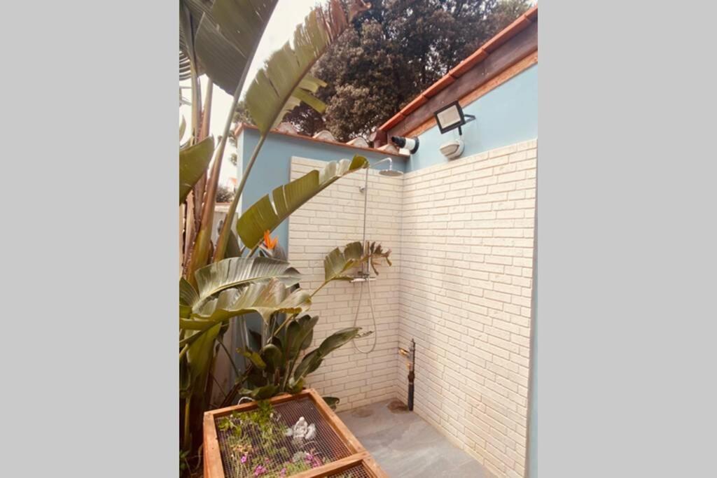 Viareggina Con Giardino Apartment Marina Di Pisa Bagian luar foto