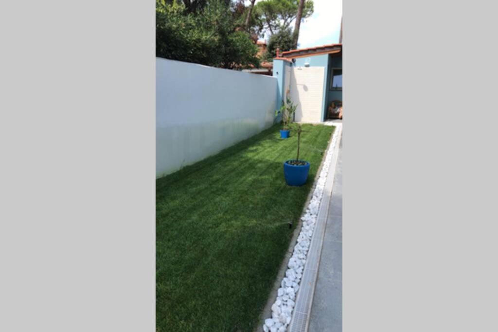 Viareggina Con Giardino Apartment Marina Di Pisa Bagian luar foto